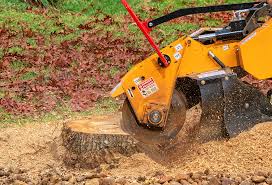 Best Lawn Disease Treatment  in Rochester Institute Of Technology, NY