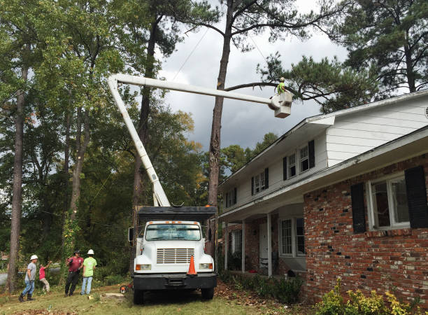  Rochester Institute Of Technology, NY Tree Care Pros